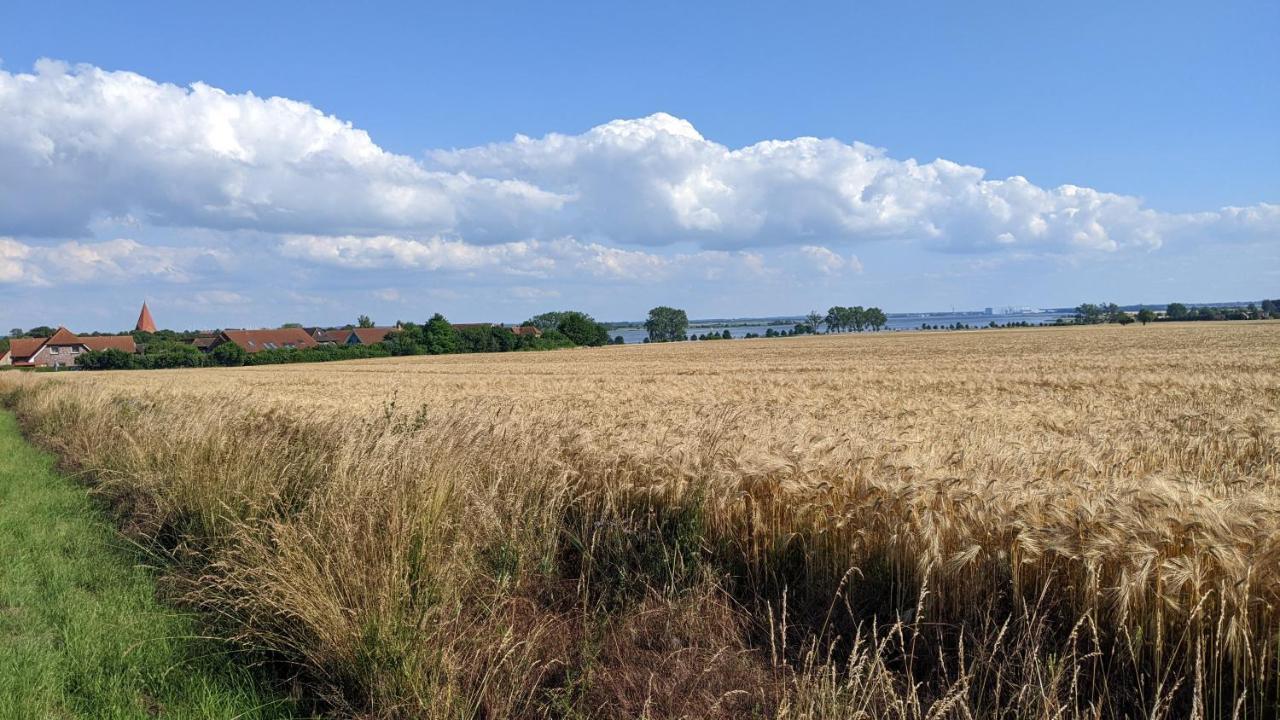 Ferien Auf Der Insel Poel Leilighet Kirchdorf  Eksteriør bilde